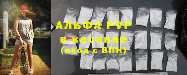 ешки Бородино