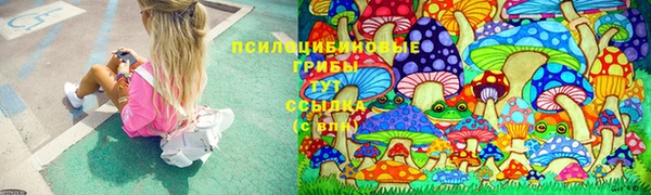 таблы Верея