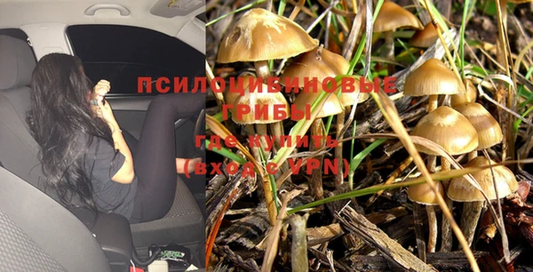 прущие крисы Бронницы