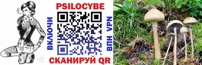 Псилоцибиновые грибы мухоморы Верхняя Пышма